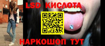 винт Кандалакша