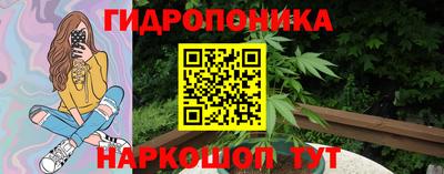ПСИЛОЦИБИНОВЫЕ ГРИБЫ Канаш